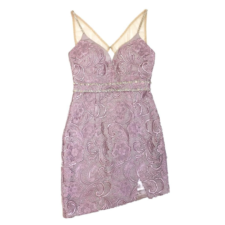 ROBE de FLEURS Glossy ケミカルレースｘバックチュールタイトミニキャバドレス