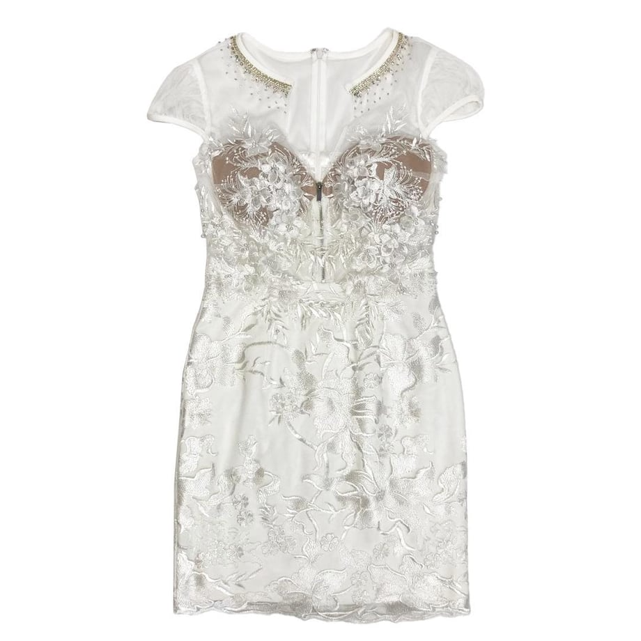ROBE de FLEURS Glossy フロントジッパーｘ刺繍レースタイトミニキャバドレス