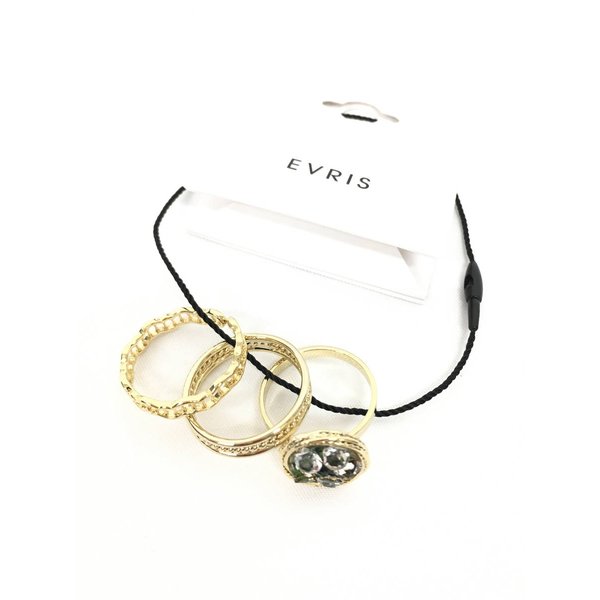 EVRIS accessory