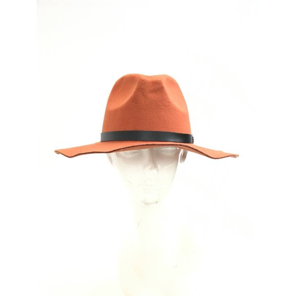 ANAP hat