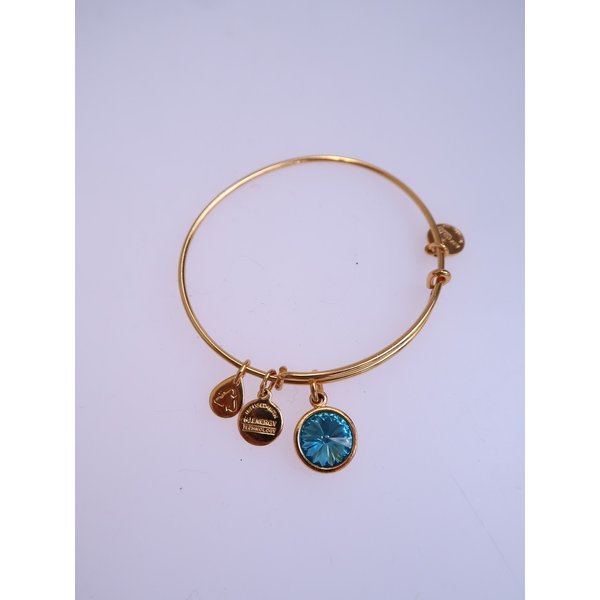 ALEX AND ANI accessory